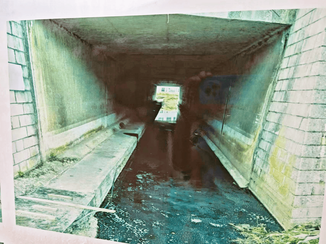 生态治理展新貌｜清镇市：生态修复的清镇路径(图7)