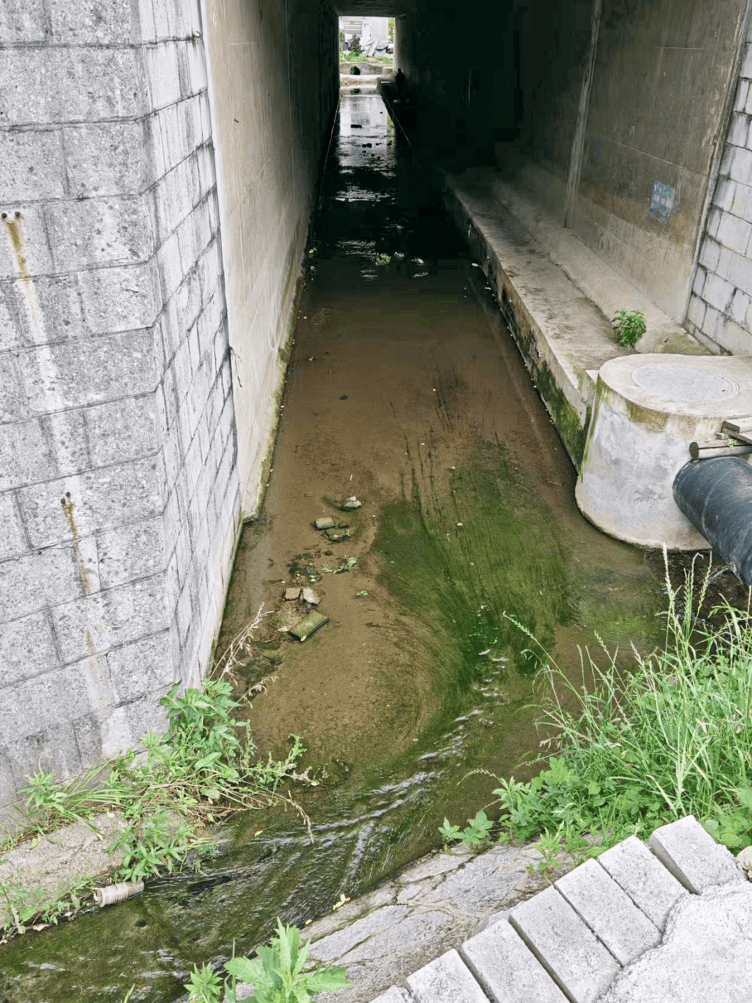 生态治理展新貌｜清镇市：生态修复的清镇路径(图8)