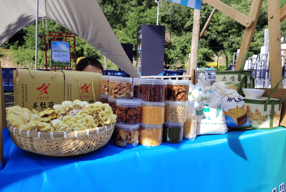 奔赴山野~延庆这场生态越野之旅太！有！趣！(图4)