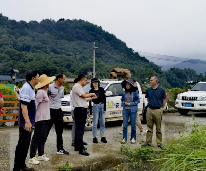 省农业农村厅工作组到七拱镇开展水稻绿色生态种植模式调研(图1)