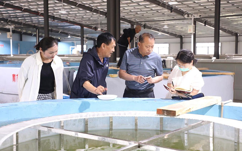 湖北郧西：构建生态休闲渔业全产业链发展模式(图1)