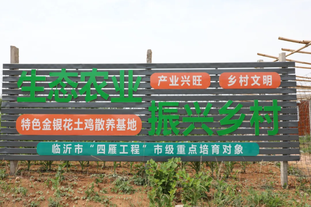 山东平邑：生态循环农业助力乡村振兴(图4)