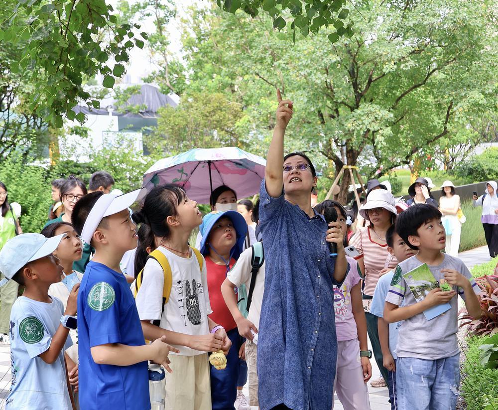 到广州荔湾花地河碧道探寻生态秘境(图2)