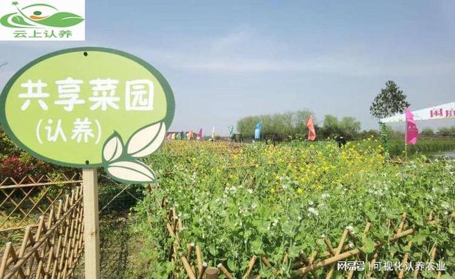 云上认养——认养农业与传统农业：差异与优势解析!(图2)