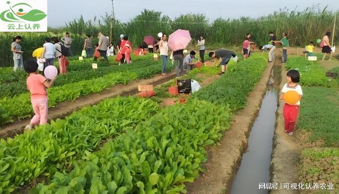 云上认养——认养农业与传统农业：差异与优势解析!(图3)