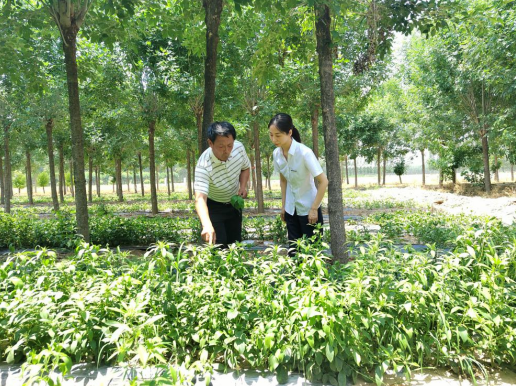 齐商银行支持农业产业化龙头企业发展——让绿色成为淄博大地最美的底色(图1)