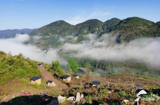科技力量革新传统农业德州助力秀山智慧生态养鸡产业发展(图1)