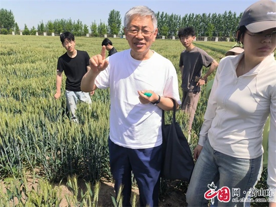 青岛恒星科技学院农学院创新生态修复技术助力绿色发展(图3)