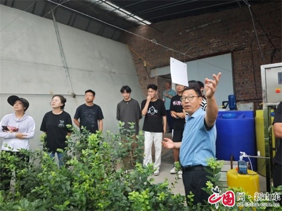 青岛恒星科技学院农学院创新生态修复技术助力绿色发展(图2)