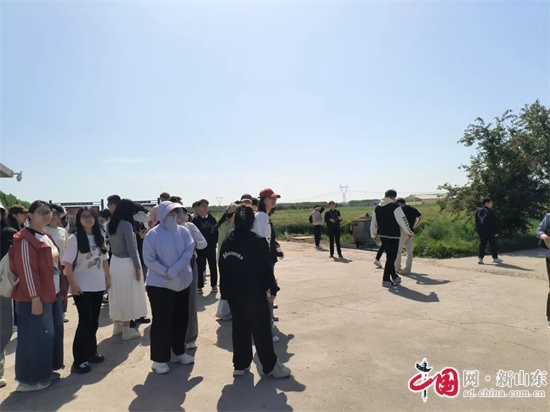 青岛恒星科技学院农学院创新生态修复技术助力绿色发展(图5)