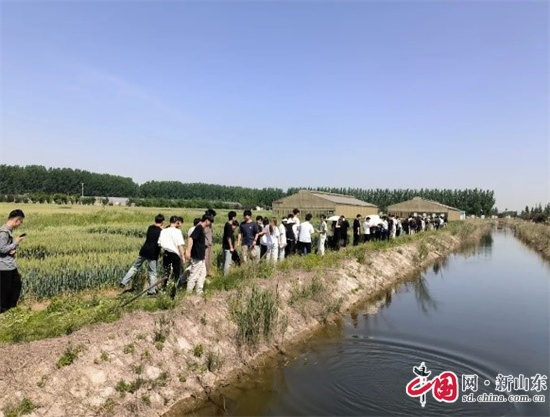 青岛恒星科技学院农学院创新生态修复技术助力绿色发展(图4)