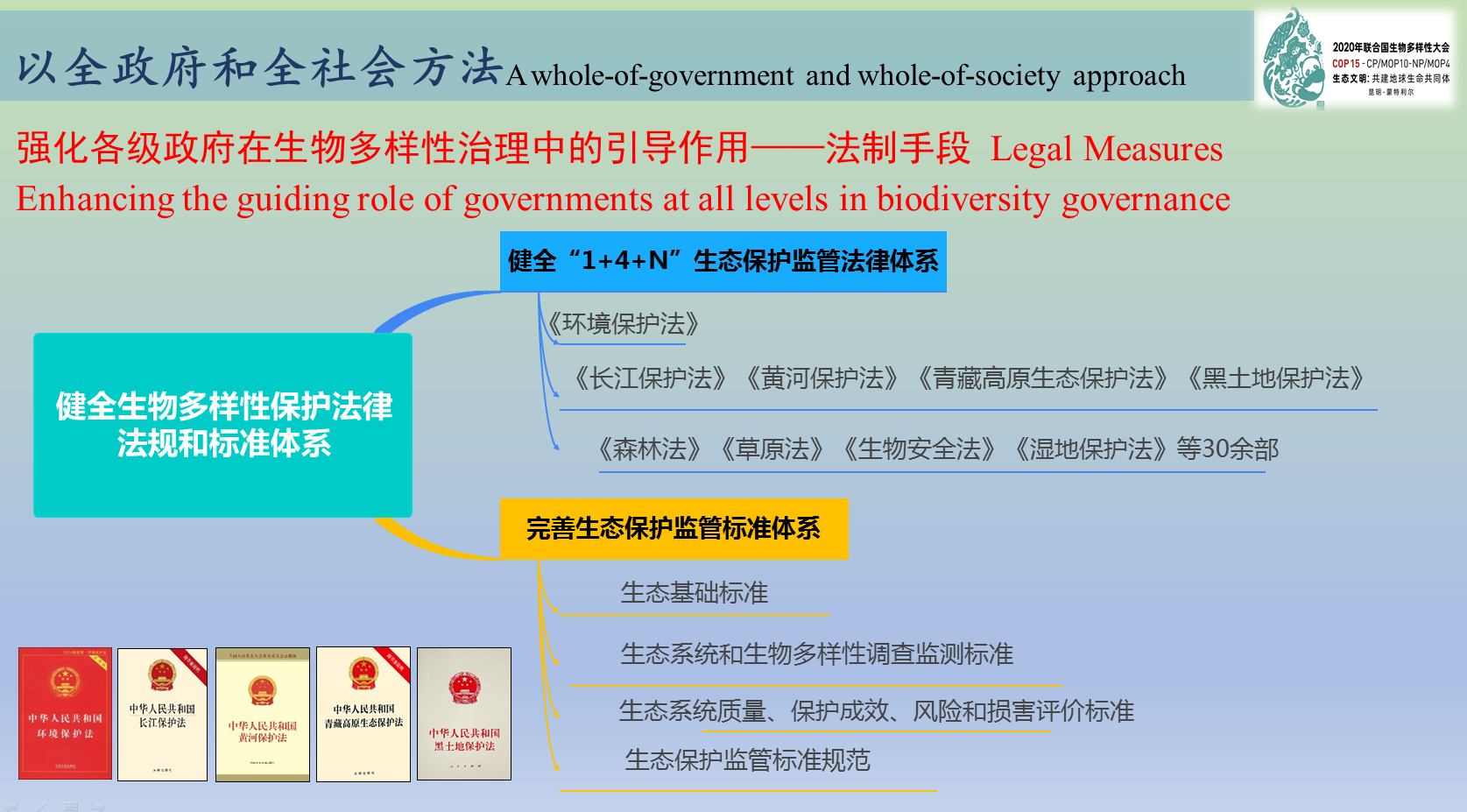 农食系统能为生物多样性保护做什么？这场高级别总结交流论坛找答案！(图5)