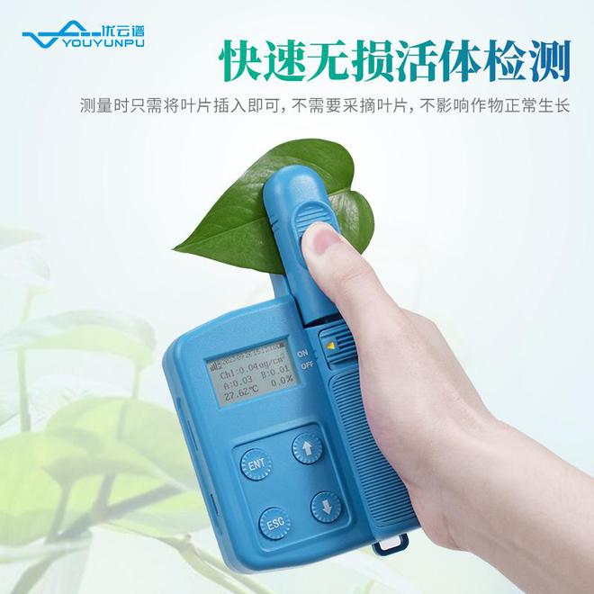 叶绿素测定仪：无损检测植物生理生态变化(图2)
