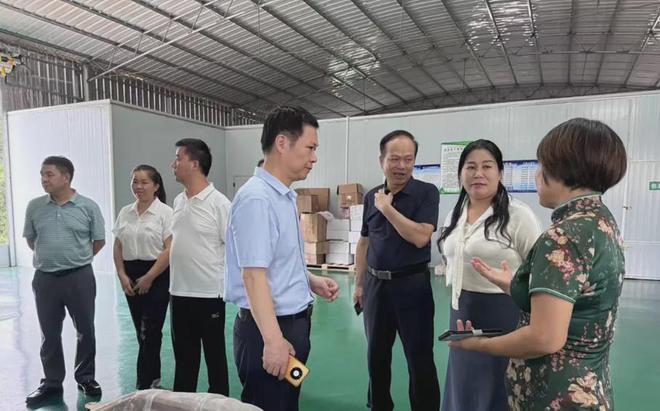 广西农业产业商会走访会员企业昭平林叶生态农业科技有限公司(图3)