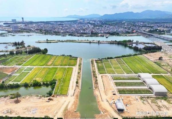 智慧农业新篇章：托普云农耐盐碱水稻科研基地全解析(图1)