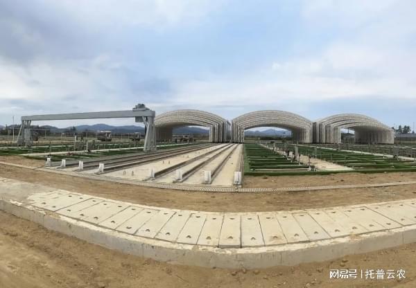 智慧农业新篇章：托普云农耐盐碱水稻科研基地全解析(图2)
