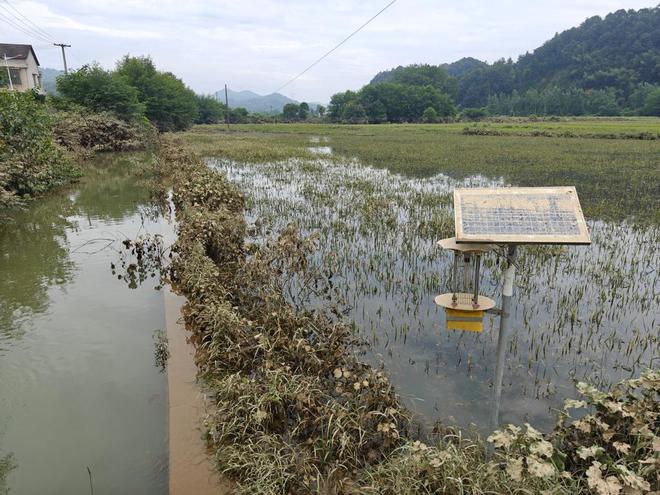 水退人进抢农时——湖南益阳农业灾后恢复生产见闻(图1)