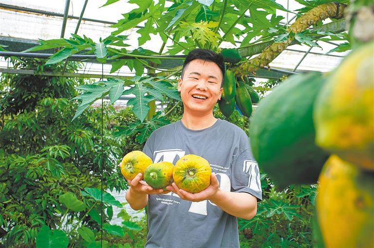 智慧农业(图1)