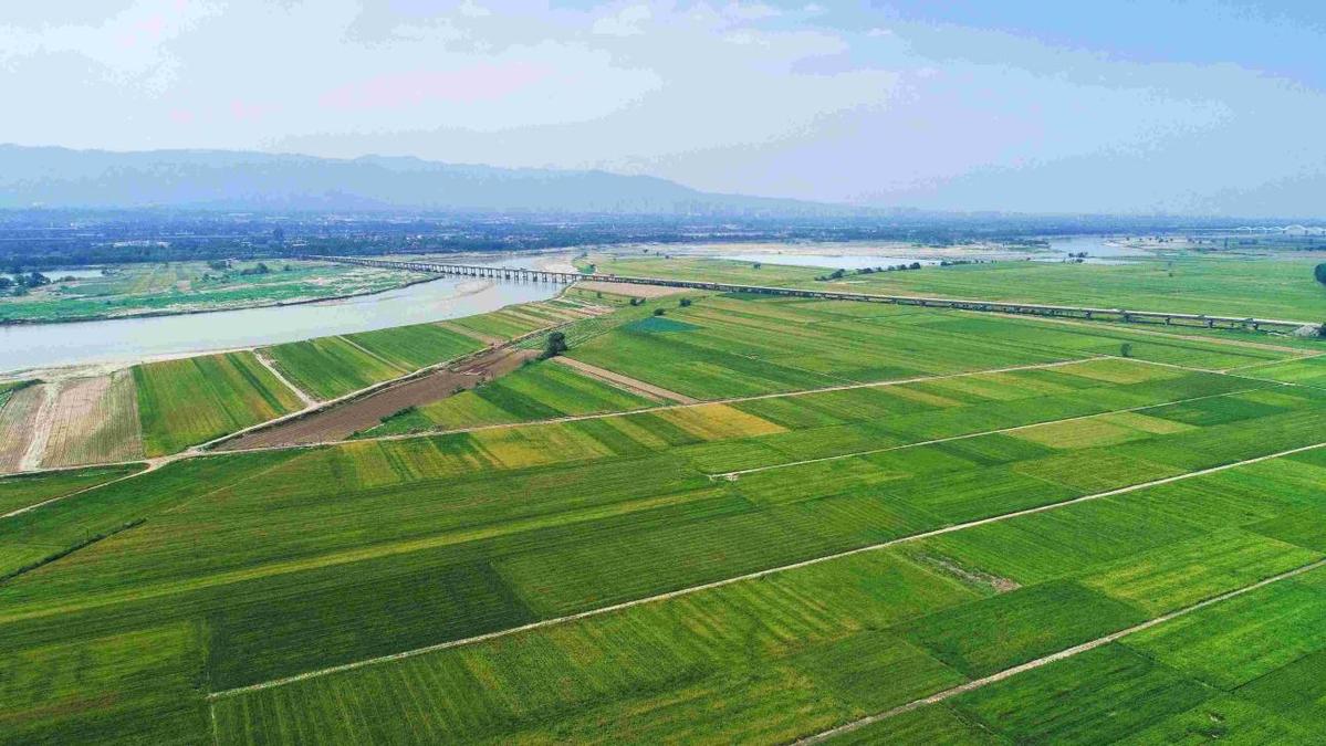西安临潼区：聚力科技生态文化赋能建设宜居和美新农村(图5)
