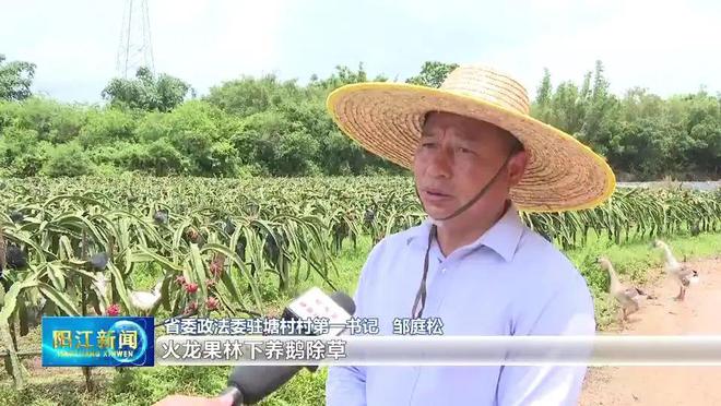 织篢塘村：发展生态循环农业带动村集体经济增收(图2)
