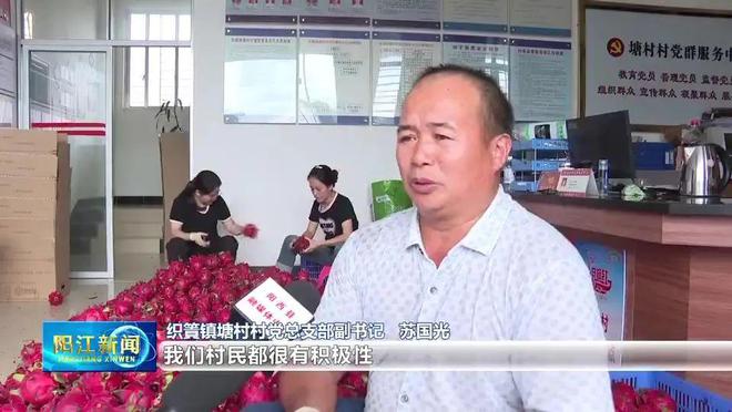 织篢塘村：发展生态循环农业带动村集体经济增收(图4)