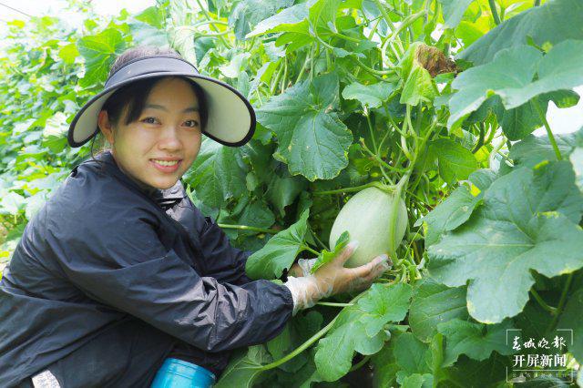 临沧“90后”新农人：做健康的农业才是快乐的(图1)
