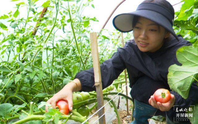 临沧“90后”新农人：做健康的农业才是快乐的(图2)