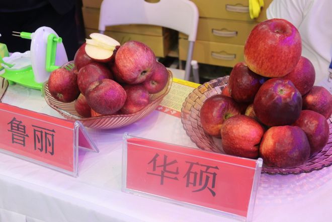 马龙区生态农产品惊艳亮相南博会(图3)