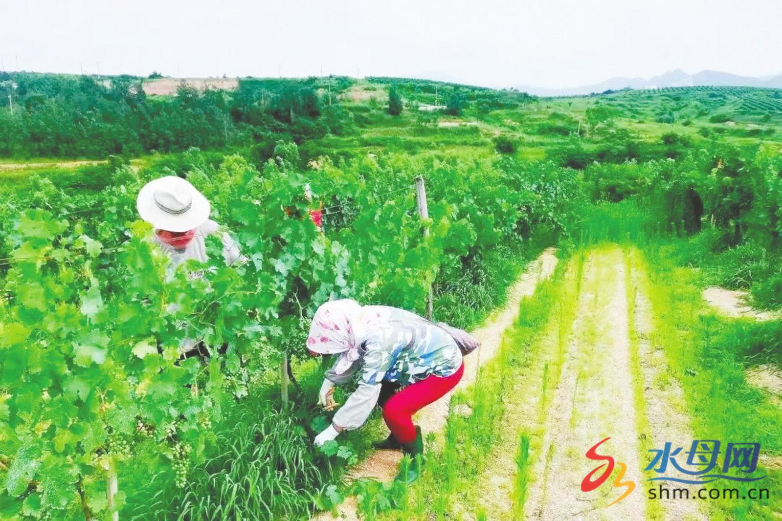 锚定现代化改革再深化烟台成功入选国家首批生态产品价值实现机制试点城市(图1)