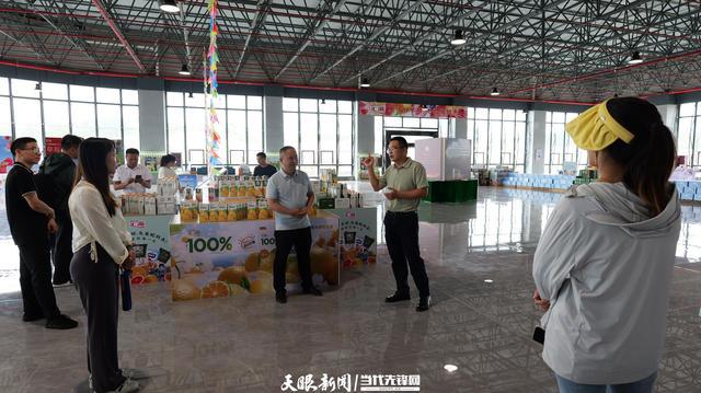 向新黔行④｜麻江：发展山地特色农业助力乡村振兴(图4)