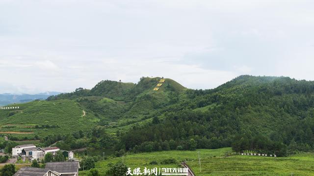 向新黔行④｜麻江：发展山地特色农业助力乡村振兴(图3)
