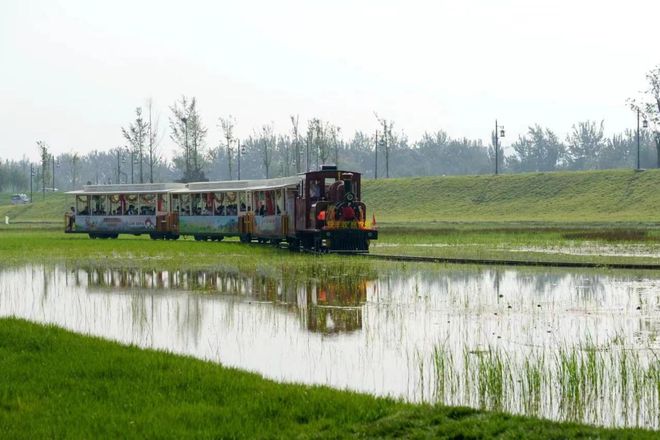 山东潍坊：综合施策打造生态河湖大圩河焕发新颜显魅力(图3)