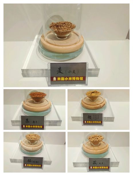 红潮涌动青春岸共织时代辉煌篇党史学习教育实践团走进高西沟水土保持生态治理展览馆(图3)