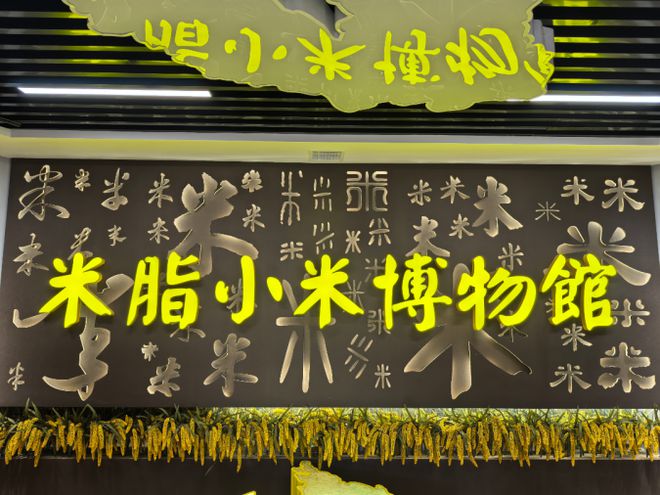 红潮涌动青春岸共织时代辉煌篇党史学习教育实践团走进高西沟水土保持生态治理展览馆(图1)