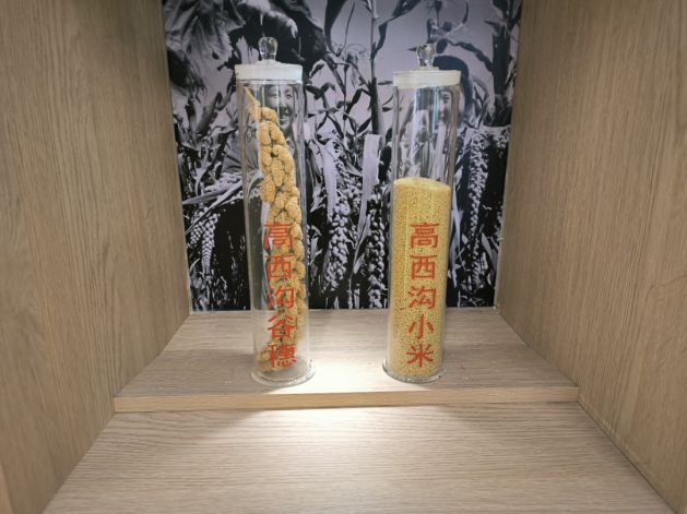 红潮涌动青春岸共织时代辉煌篇党史学习教育实践团走进高西沟水土保持生态治理展览馆(图6)
