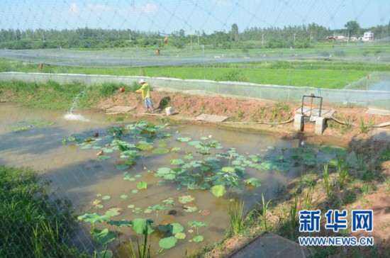 湖北安陆：破解农业面源污染难题构筑生态农业安全屏障(图2)