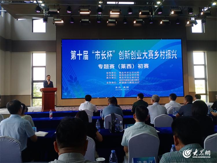 助力乡村创业主体发展！青岛市农业创业创新大赛初赛在莱西举行(图3)