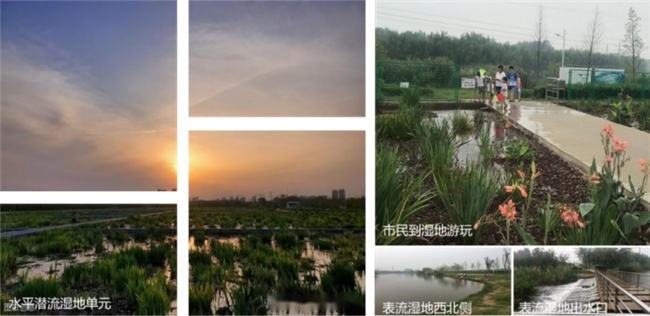 北控水务集团深耕科技创新为山东水生态环境建设赋能(图3)