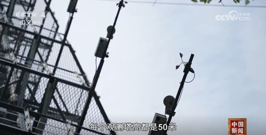 解锁“三北”工程生态密码科技为生态保护插上“智慧的翅膀”(图3)