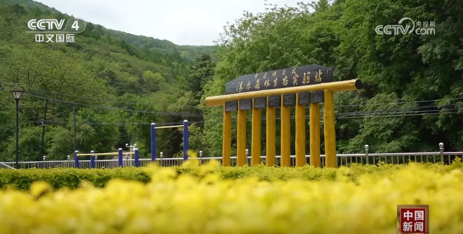 解锁“三北”工程生态密码科技为生态保护插上“智慧的翅膀”(图8)