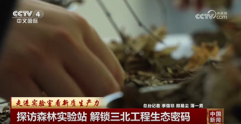 解锁“三北”工程生态密码科技为生态保护插上“智慧的翅膀”(图6)