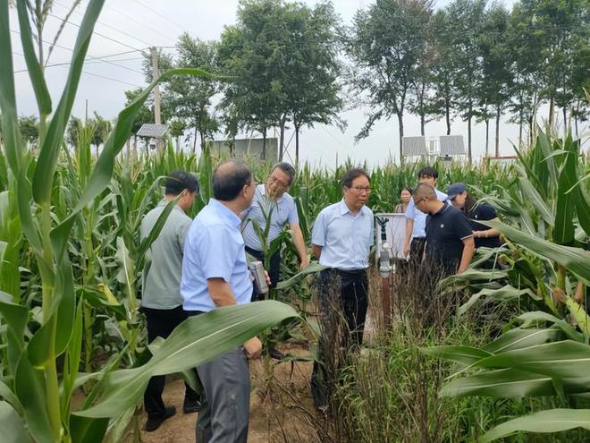 感知山东中国农业生态环保协会到昌邑市调研生态农场工作(图3)