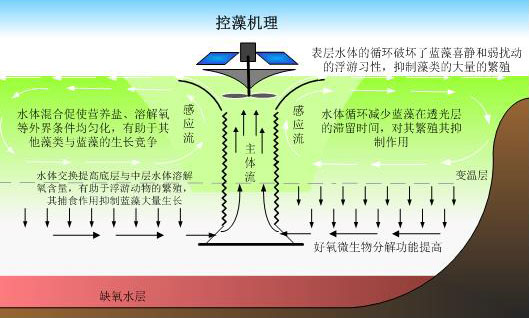 核心技术与产品(图5)