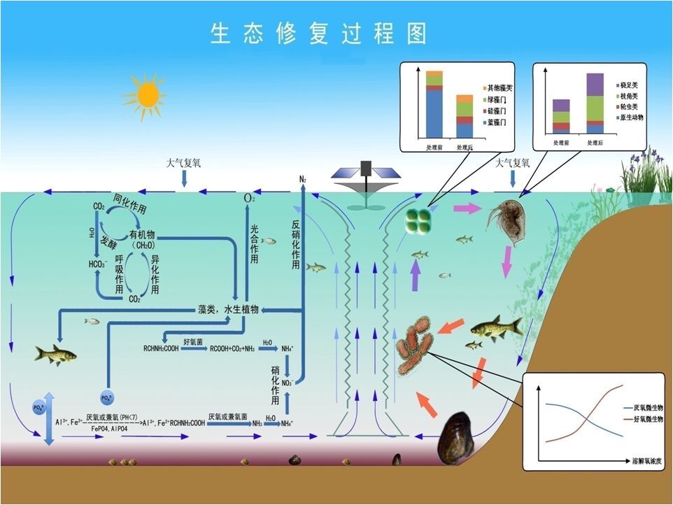 核心技术与产品(图3)