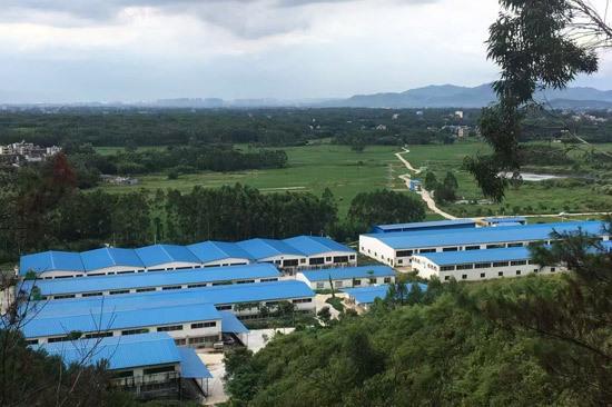 博白：实施生态化养殖助力农业经济高质量发展(图1)