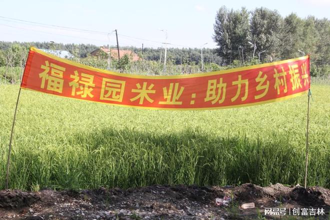 福禄园米业：生态农业的创新典范(图2)