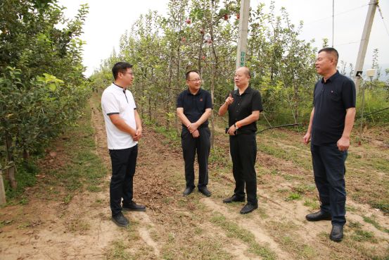 中国安全食品培优孵化系统工程办公室助力陕西妙耕千阳县生态农业再添新翼(图3)