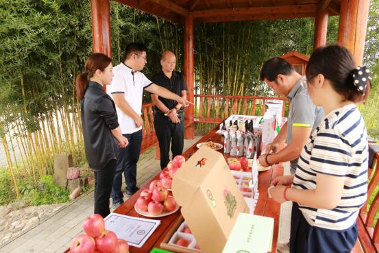 中国安全食品培优孵化系统工程办公室助力陕西妙耕千阳县生态农业再添新翼(图4)