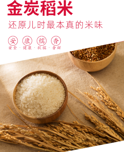圣淳农业：回归自然守护净土做健康生活的守护者(图3)