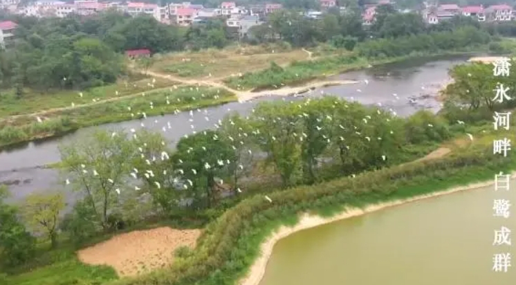 零陵：精细监督护清波鱼跃鸟欢生态美(图1)